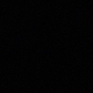 Meet your Posher, Shelby